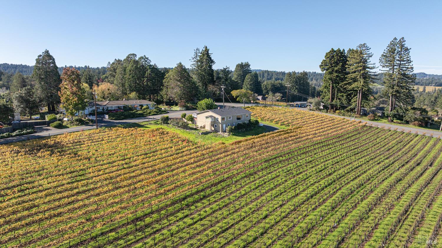 1365 Grandview Road Sebastopol, CA 95472 - Photo 37 of 58