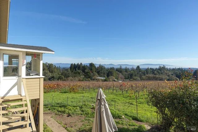 a view of a city with a mountain in the background