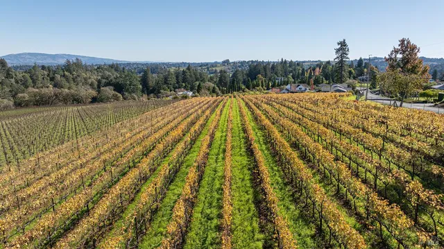 $3,250,000 | 1365 Grandview Road, Sebastopol, CA 95472