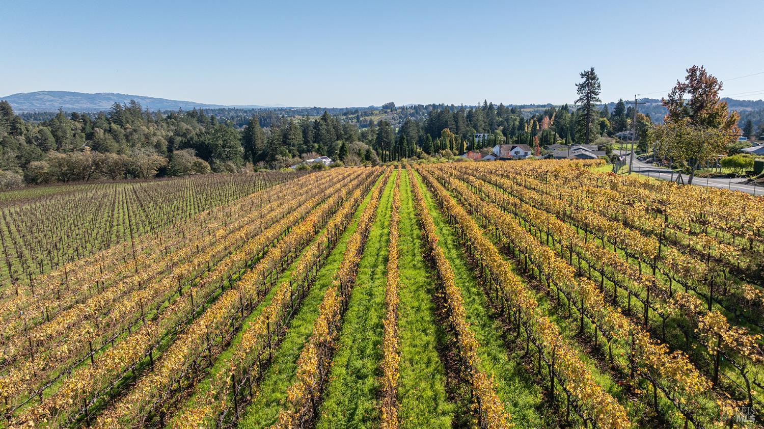 1365 Grandview Road Sebastopol, CA 95472 - Photo 56 of 58