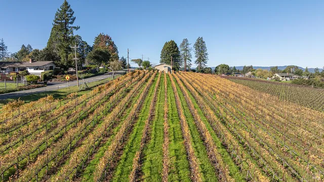 $3,250,000 | 1365 Grandview Road, Sebastopol, CA 95472
