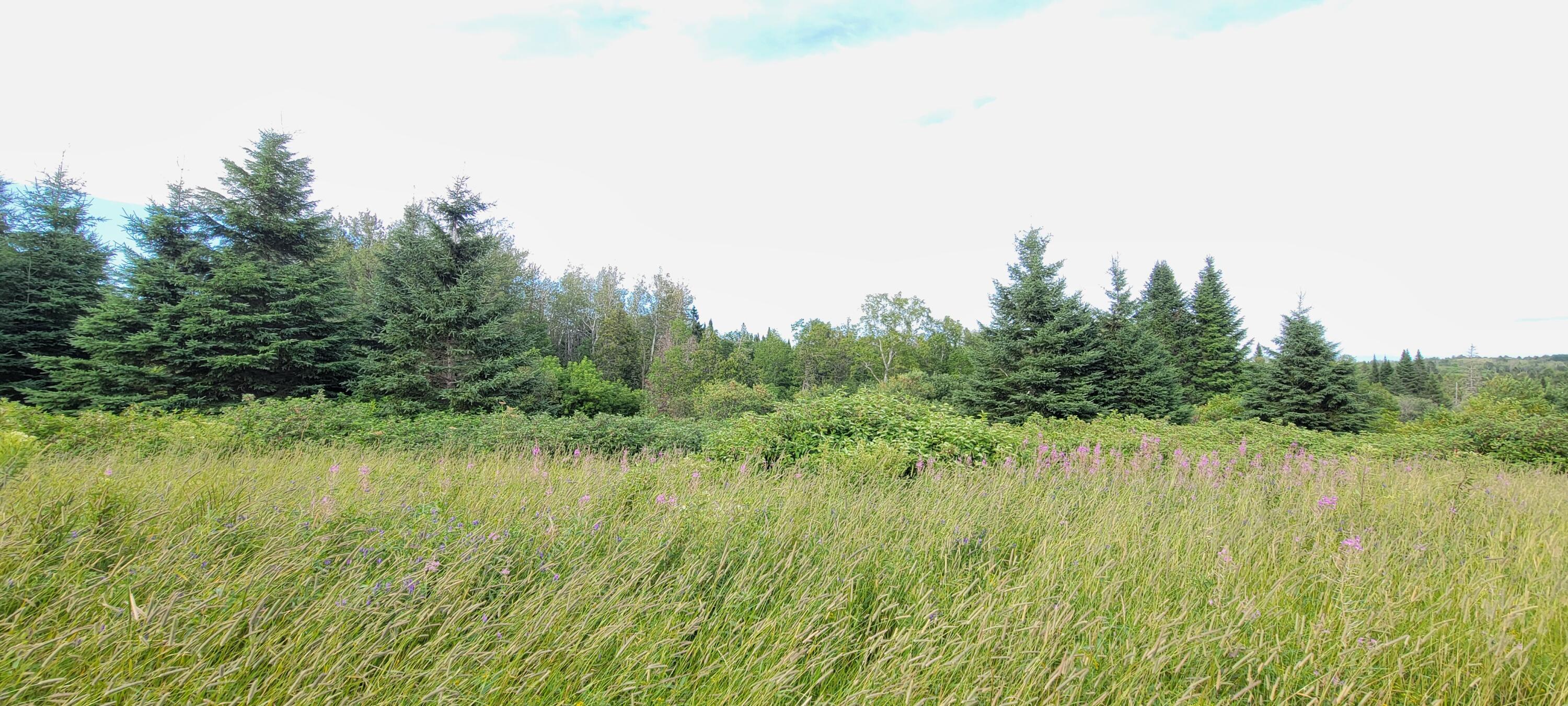 2 Map St. Agatha, ME 04772 - Photo 34 of 47 20250731_170307