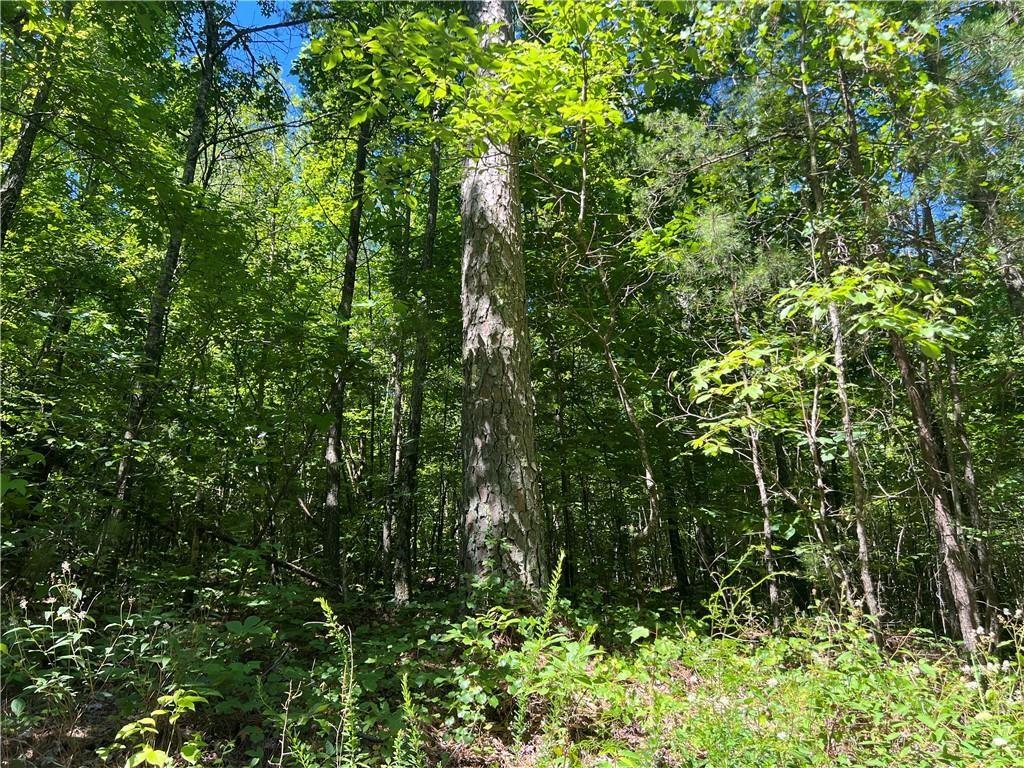 0 Fortner Road Ball Ground, GA 30107 - Photo 6 of 22