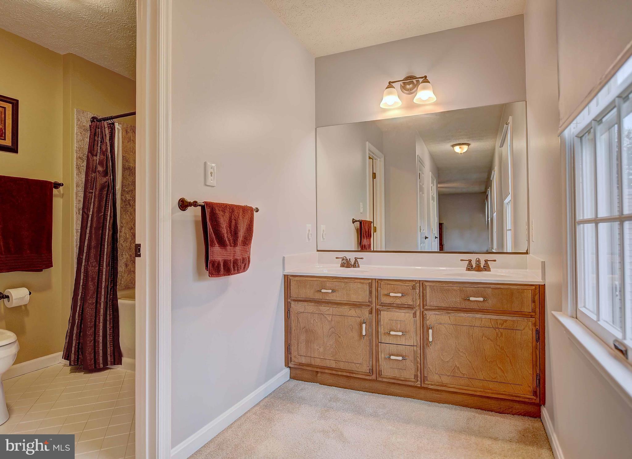 1700 Boggs Road Forest Hill, MD 21050 - Photo 17 of 29 Bath (Master)