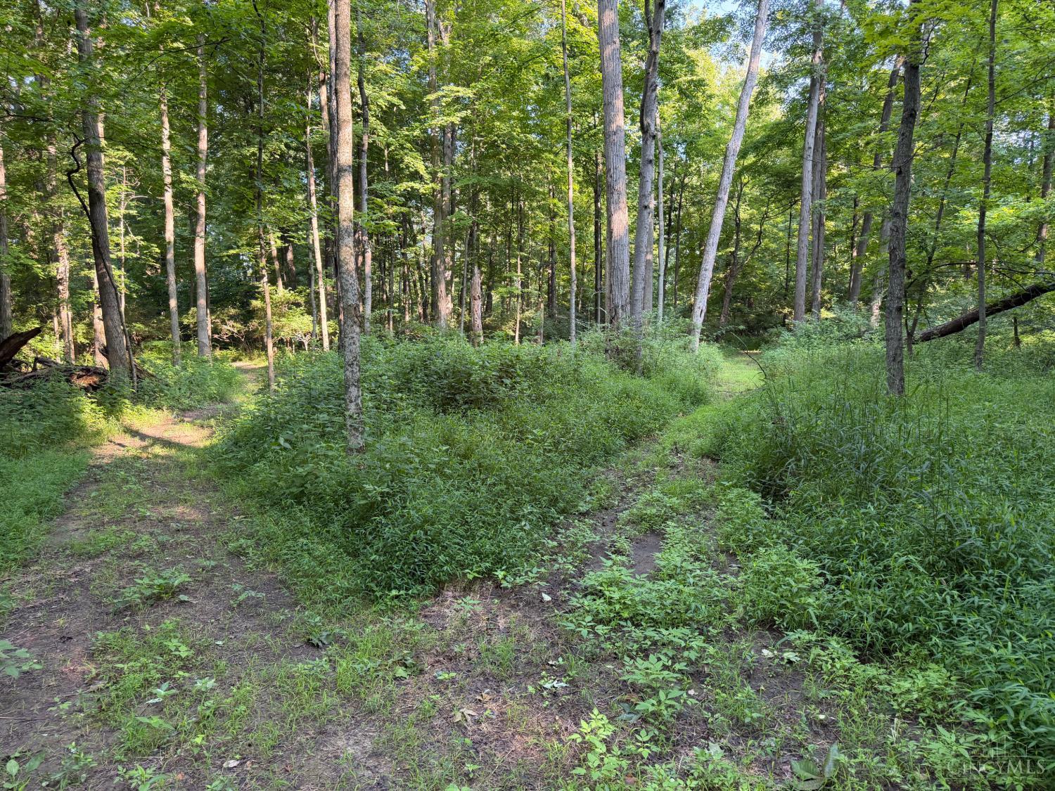 Ac West Hatt-Swank Road Loveland, OH 45140 - Photo 19 of 23 Gallery Image 19