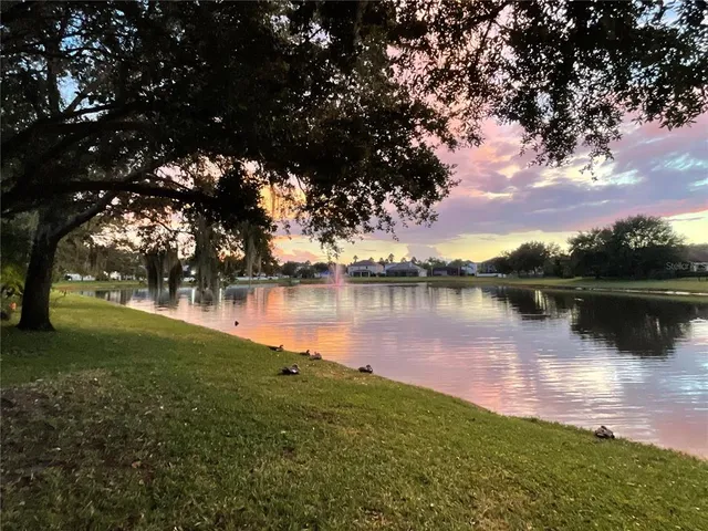 a view of a yard with plants and trees