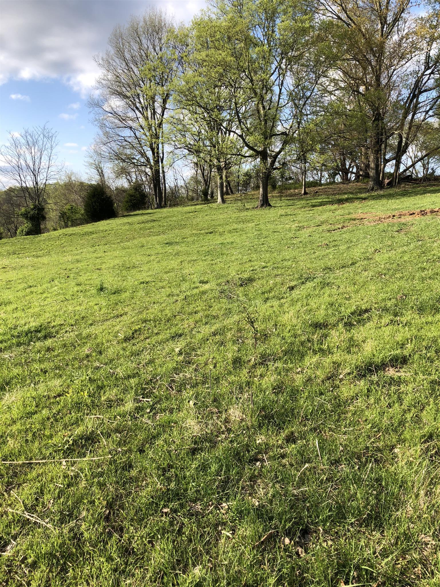 4 Mack Benderman Road Culleoka, TN 38451 - Photo 1 of 12 Gallery Image 1