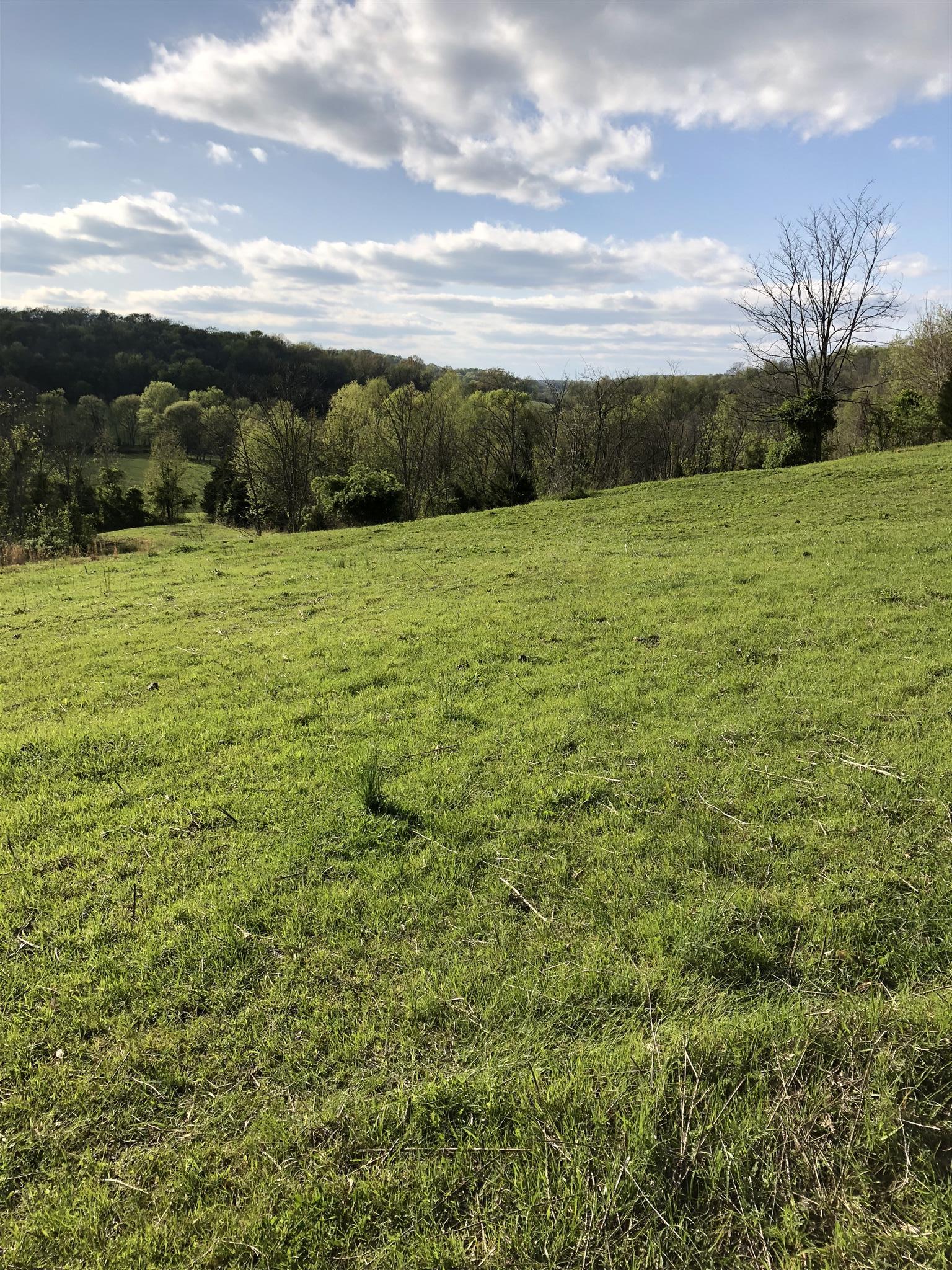 4 Mack Benderman Road Culleoka, TN 38451 - Photo 11 of 12 Gallery Image 11