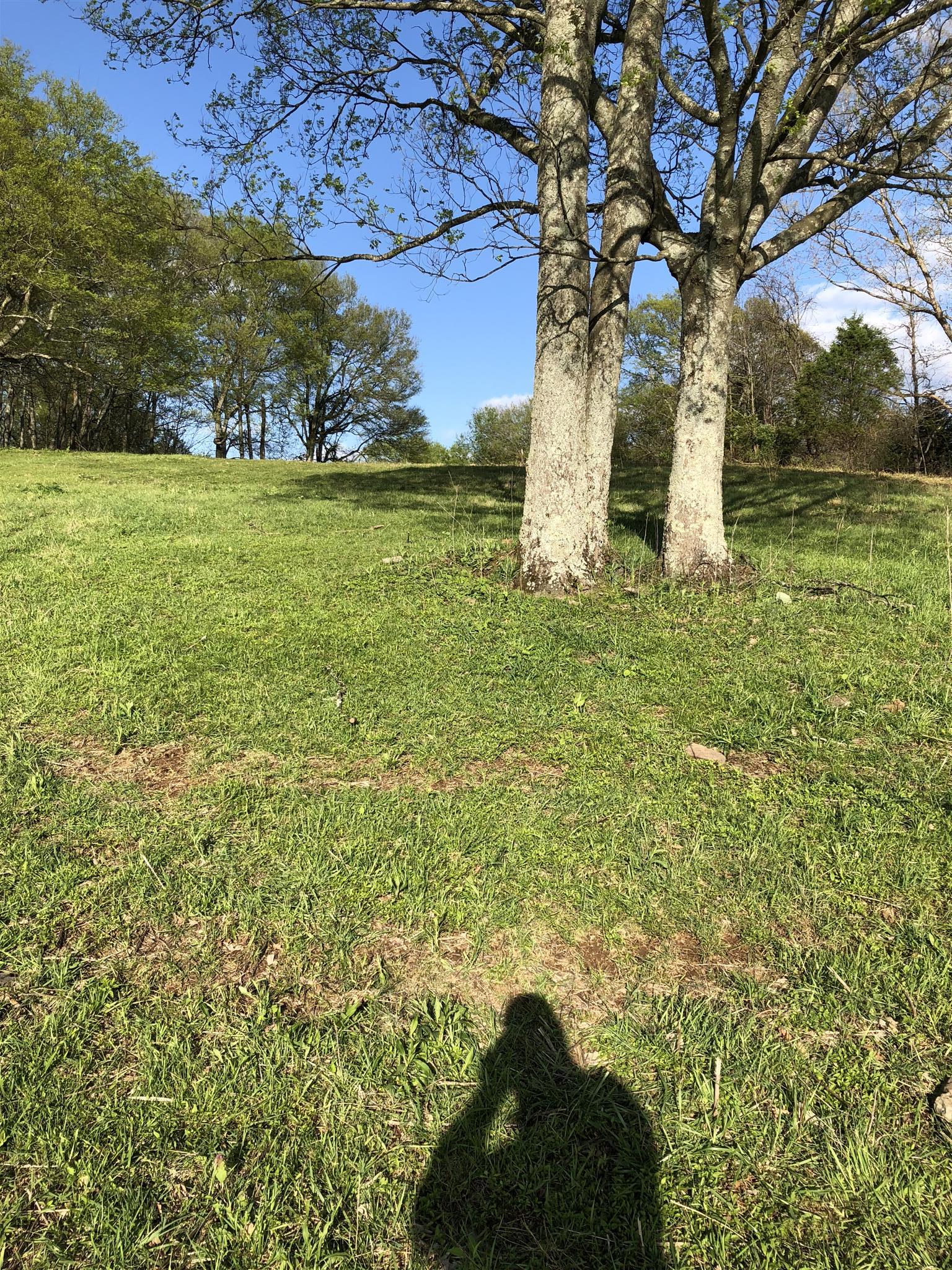 4 Mack Benderman Road Culleoka, TN 38451 - Photo 3 of 12 Gallery Image 3