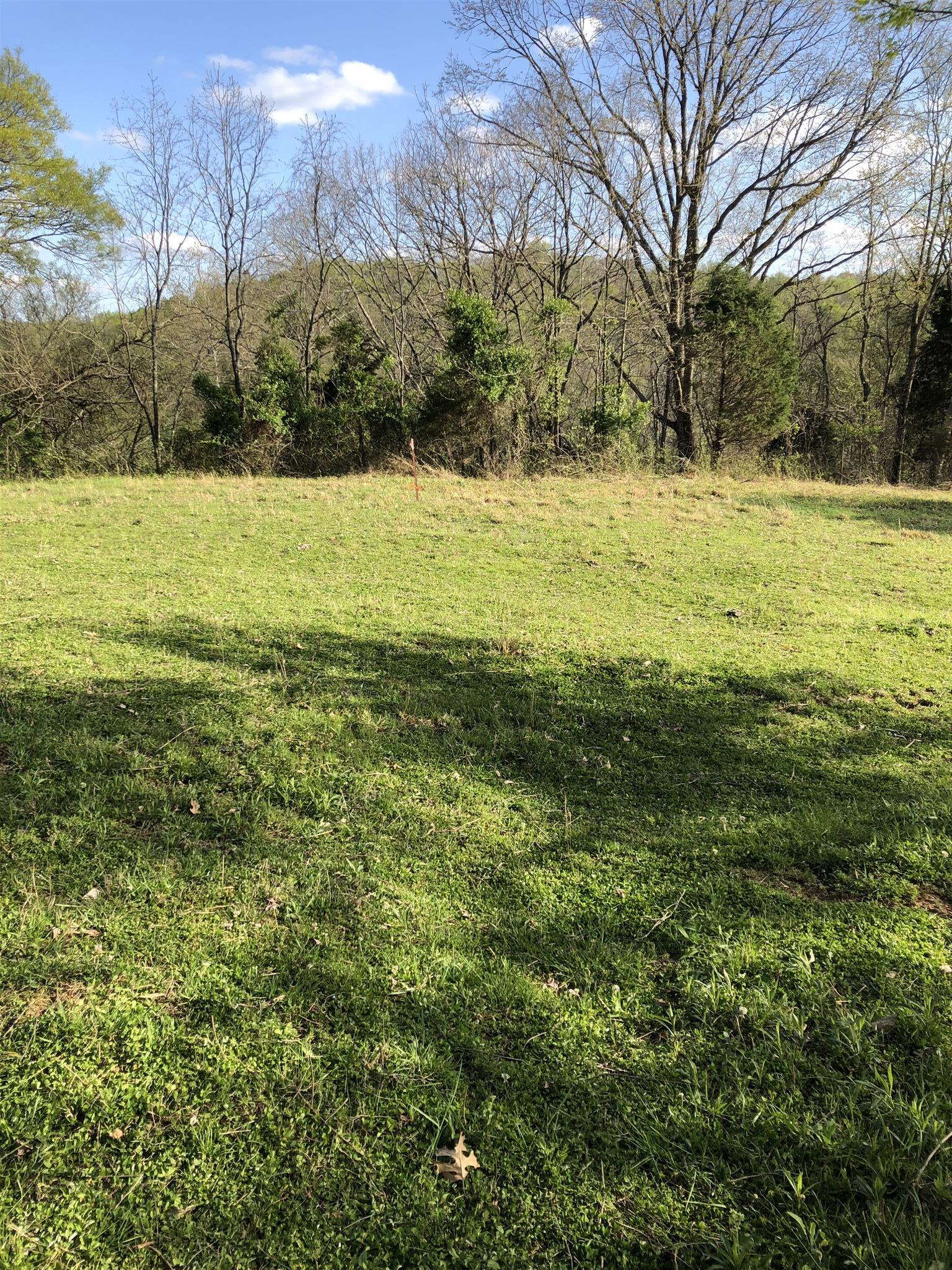 4 Mack Benderman Road Culleoka, TN 38451 - Photo 4 of 12 Gallery Image 4