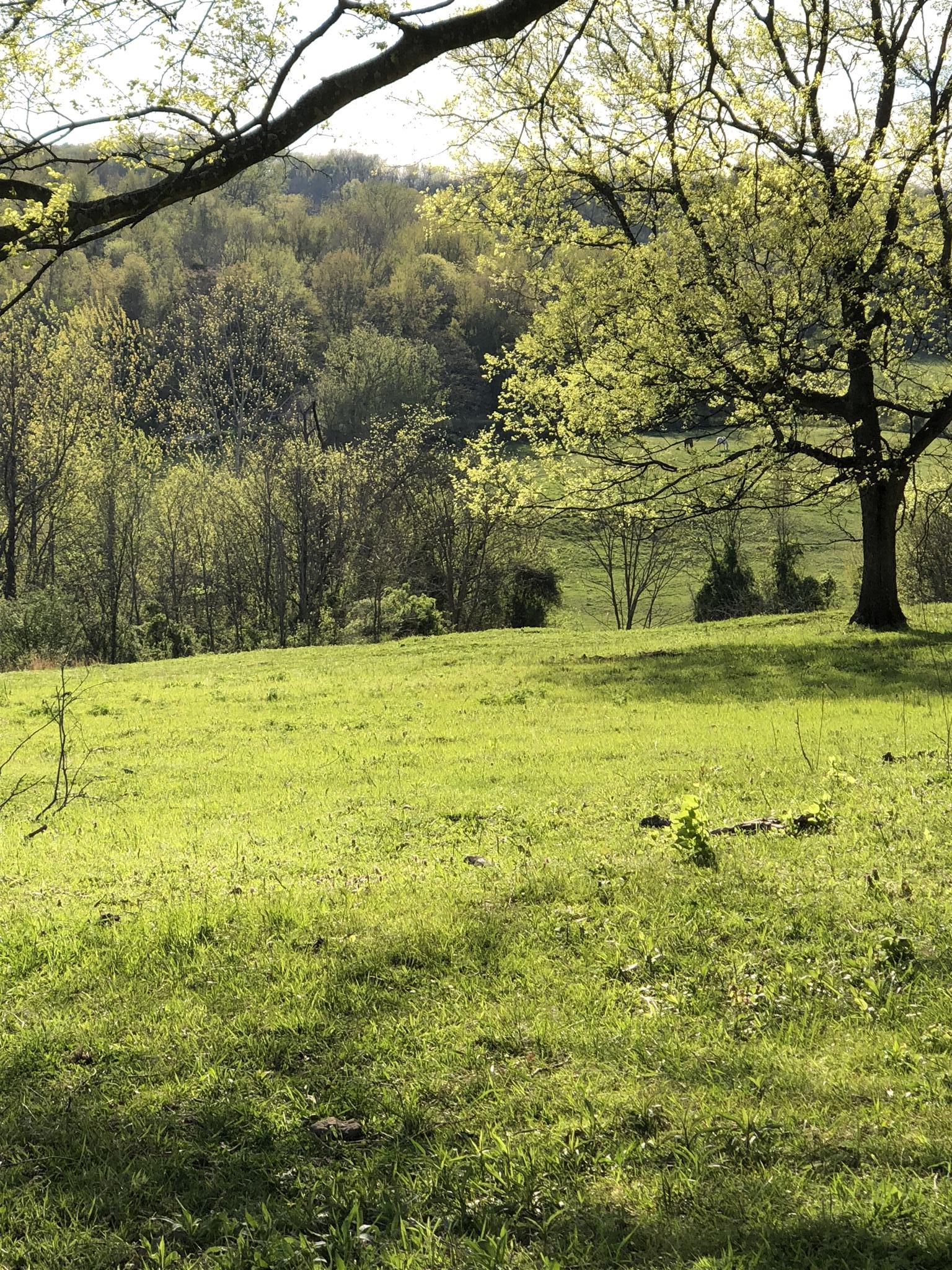 4 Mack Benderman Road Culleoka, TN 38451 - Photo 6 of 12 Gallery Image 6