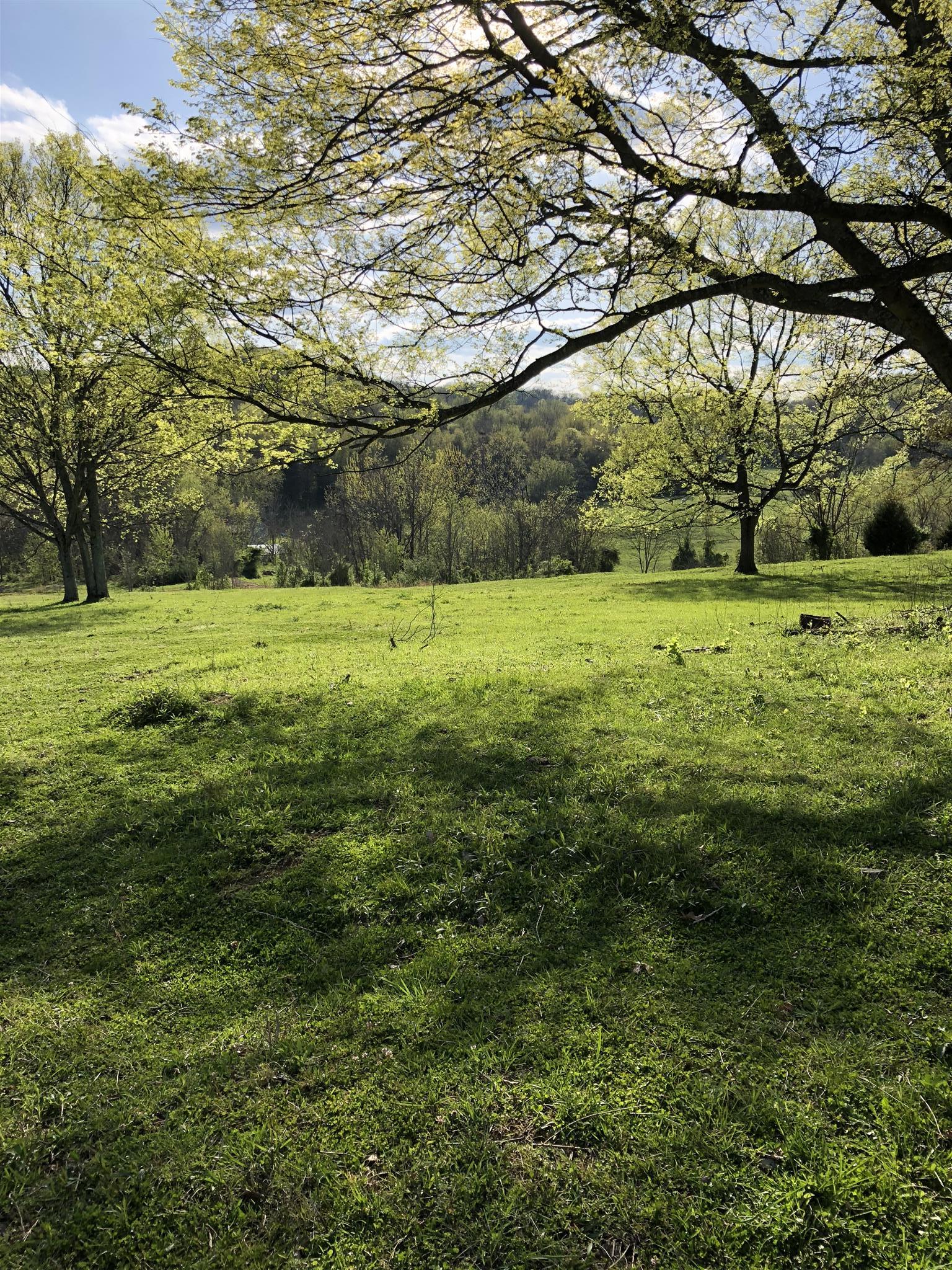 4 Mack Benderman Road Culleoka, TN 38451 - Photo 7 of 12 Gallery Image 7