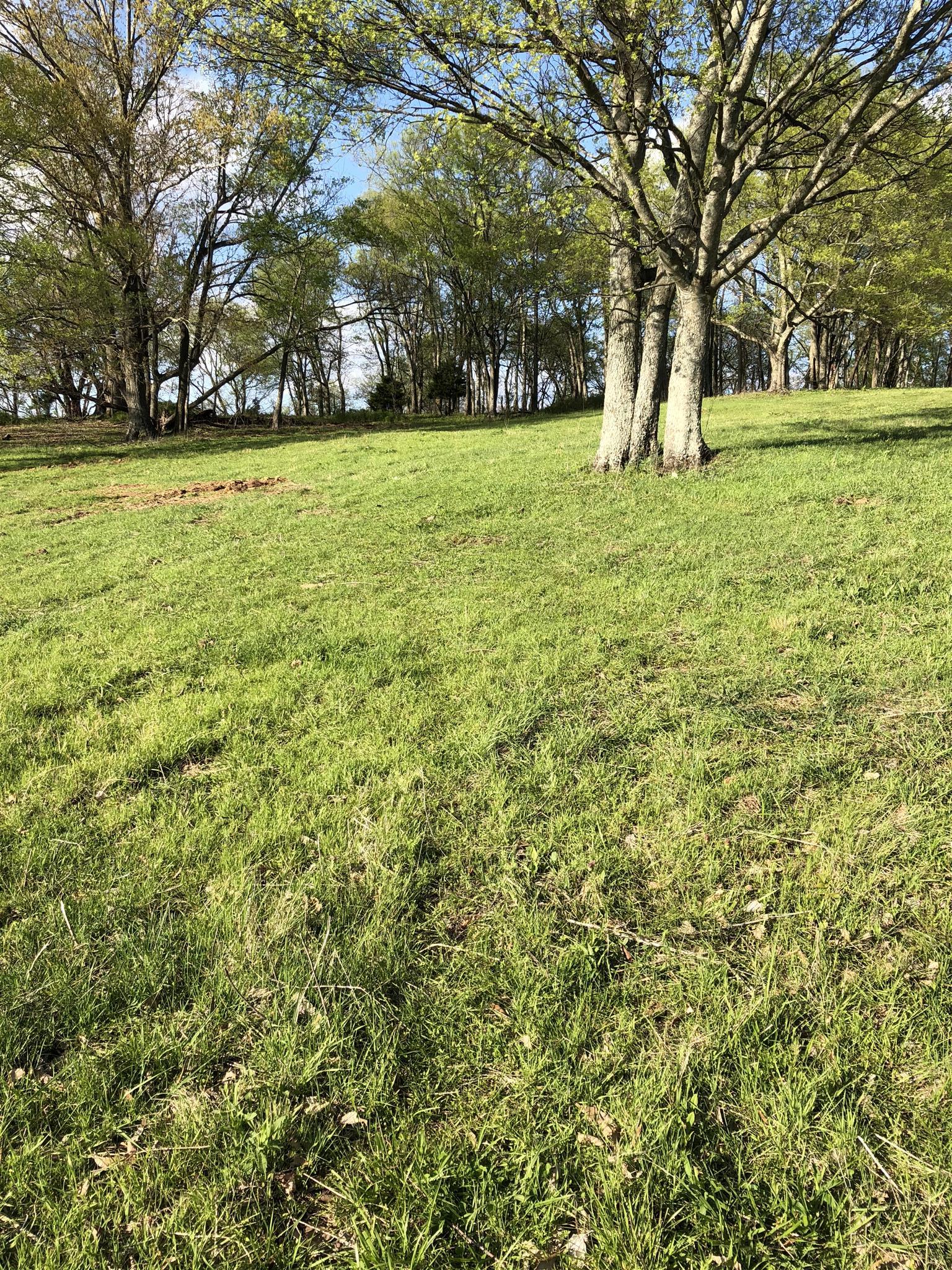 4 Mack Benderman Road Culleoka, TN 38451 - Photo 8 of 12 Gallery Image 8