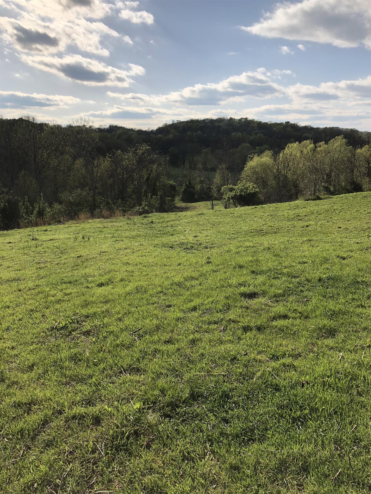 4 Mack Benderman Road Culleoka, TN 38451 - Photo 9 of 12 Gallery Image 9