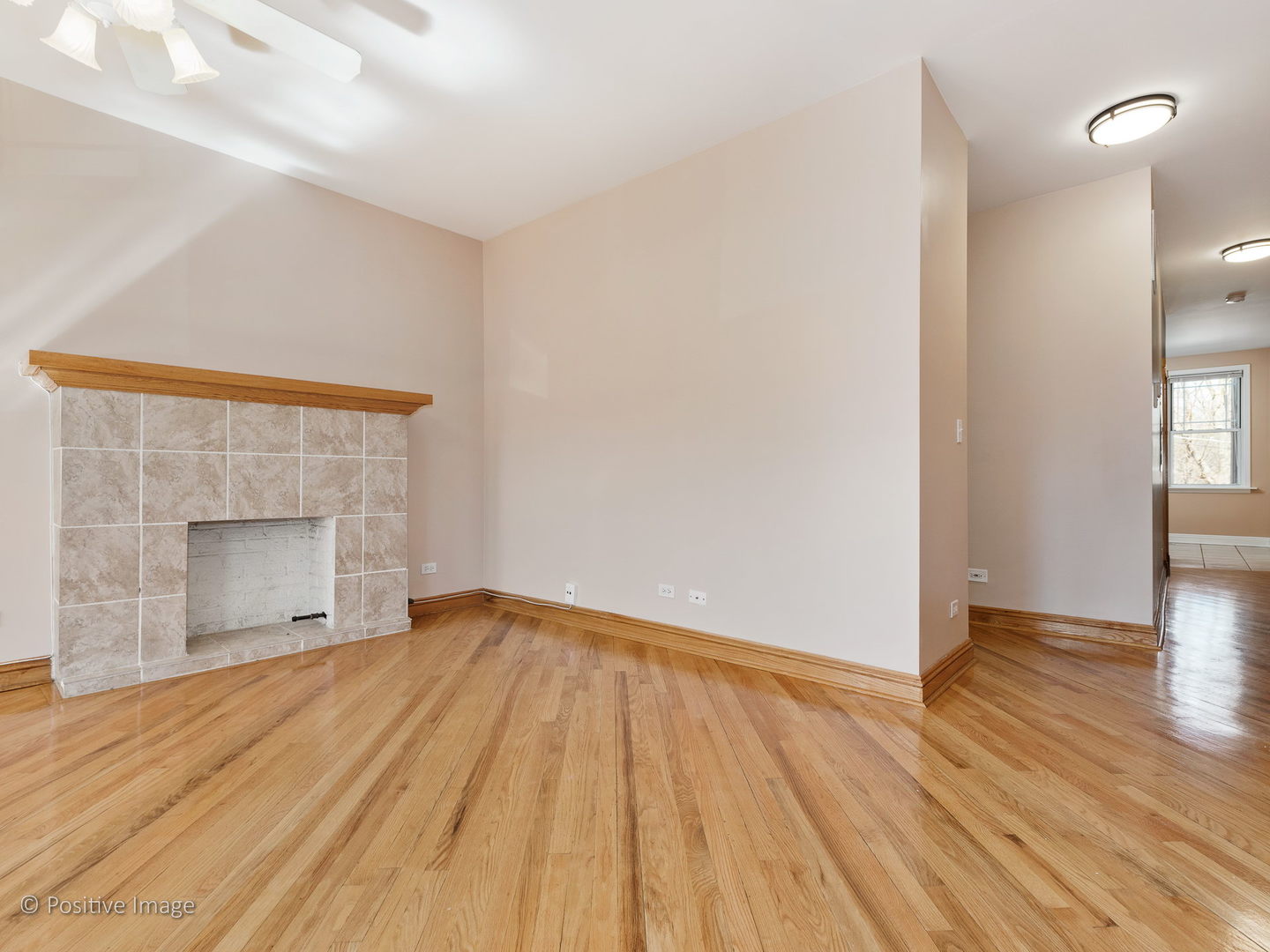 931 Brummel Street, Unit 103 Evanston, IL 60202 - Photo 5 of 22