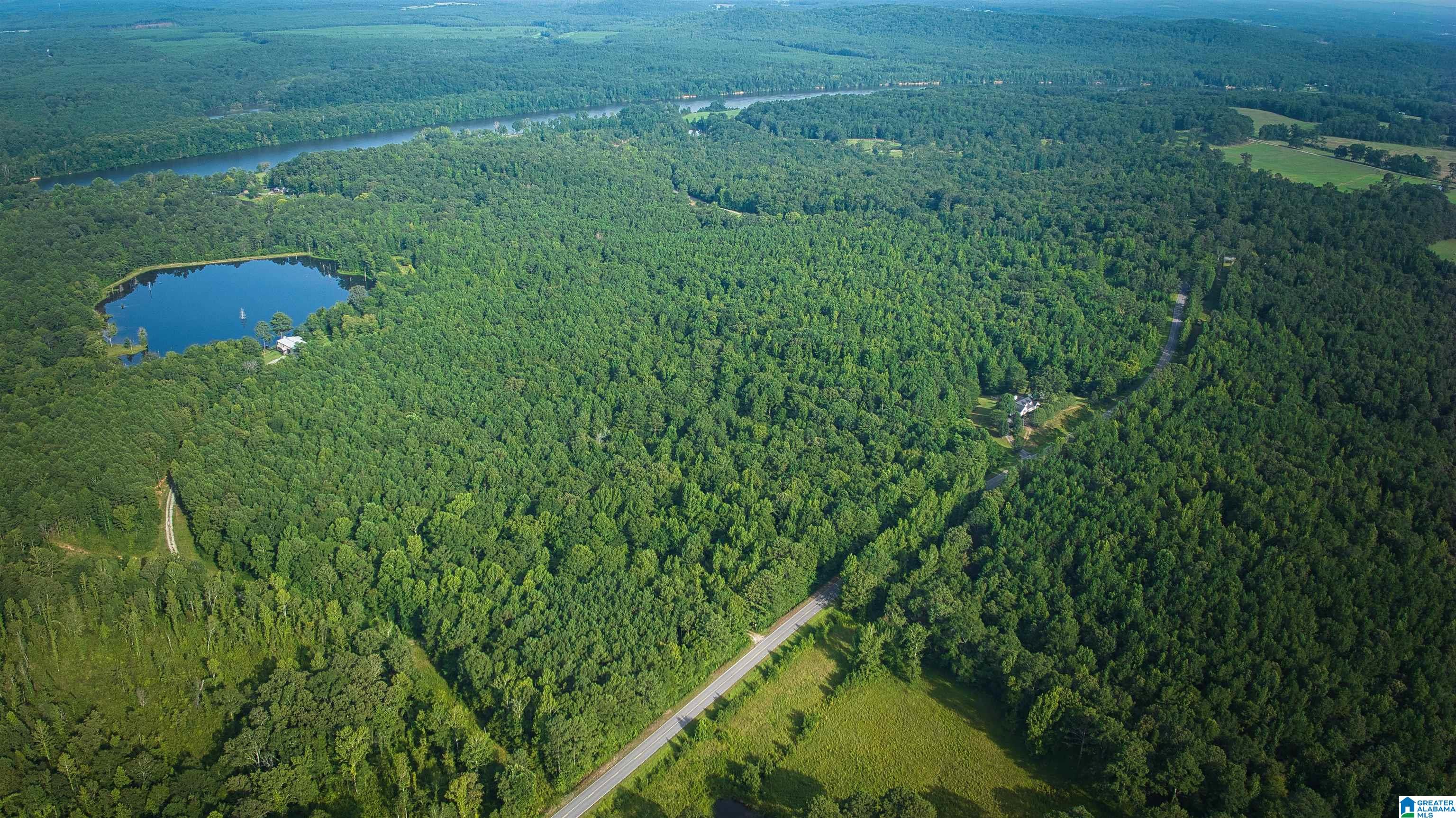 Lot 20 Wester Road, Unit LOT 20 Ragland, AL 35131 - Photo 42 of 68