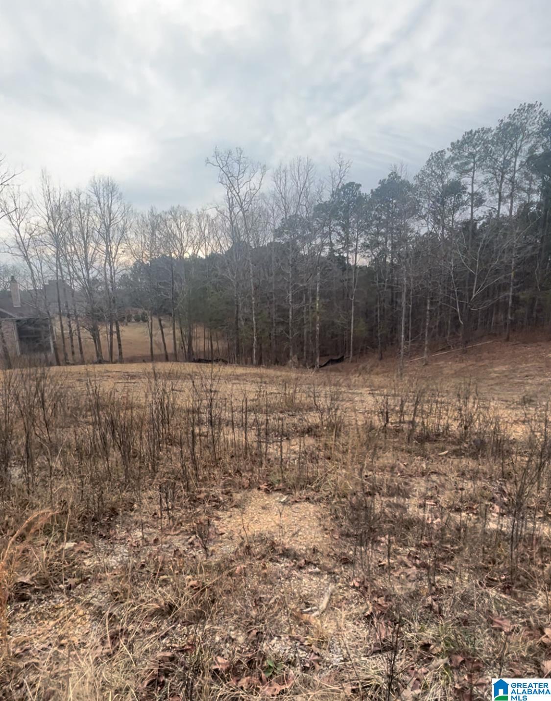 0 Lakeshore Loop, Unit 1 Oneonta, AL 35121 - Photo 1 of 2