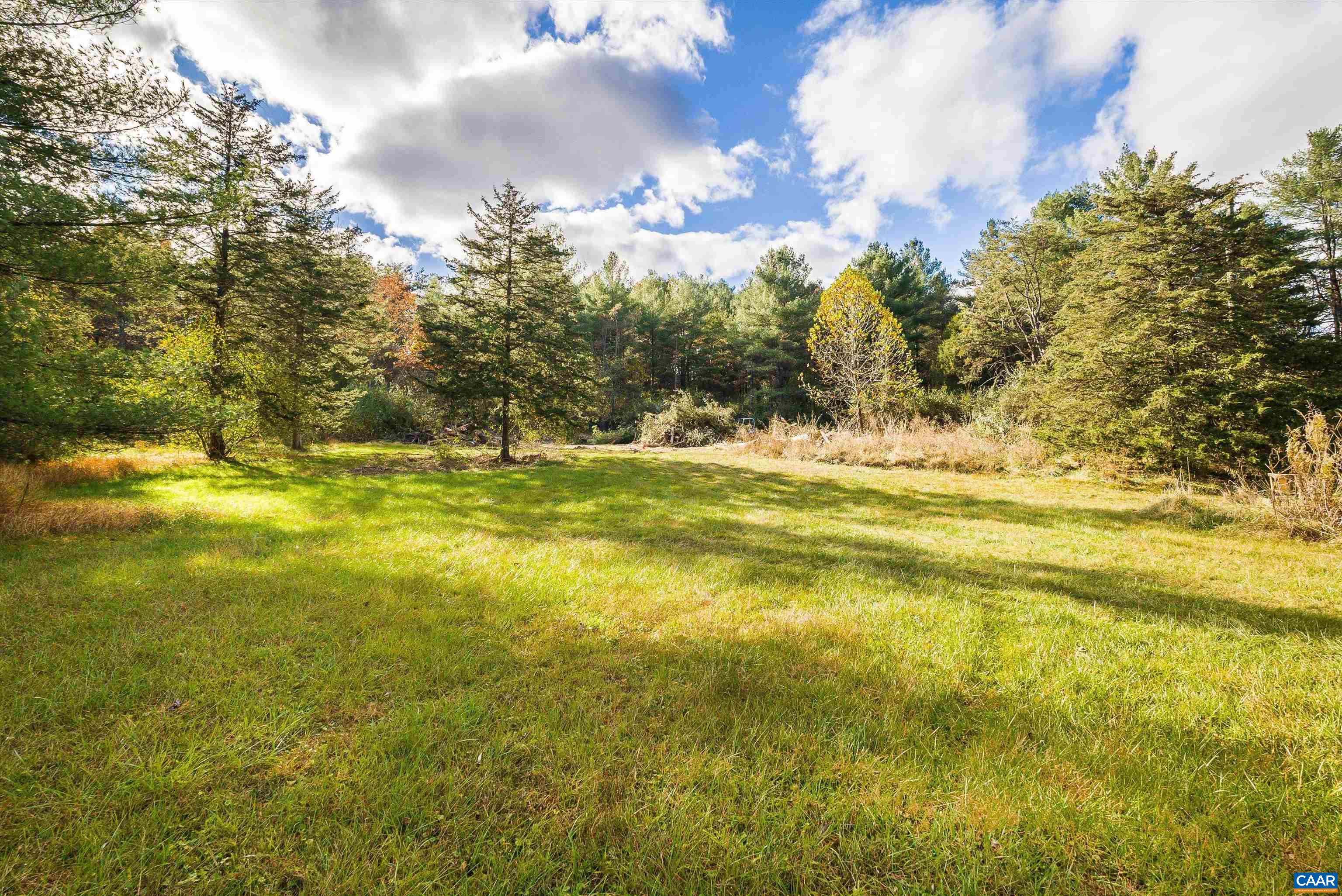 16831 Runions Creek Road Broadway, VA 22815 - Photo 8 of 44