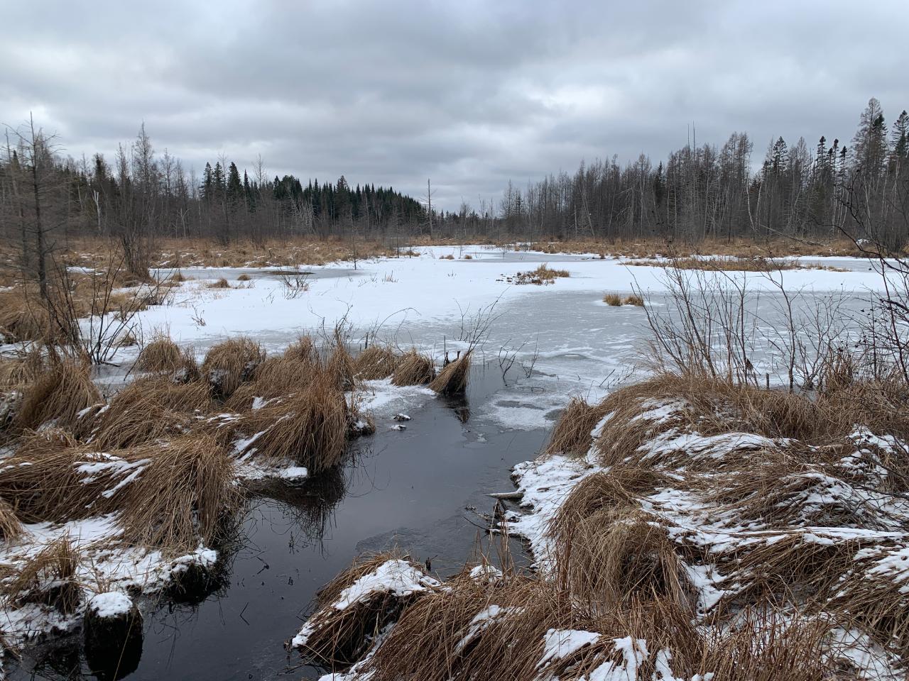 Off Sutton Road Minocqua, WI 54548 - Photo 1 of 19 Gallery Image 1