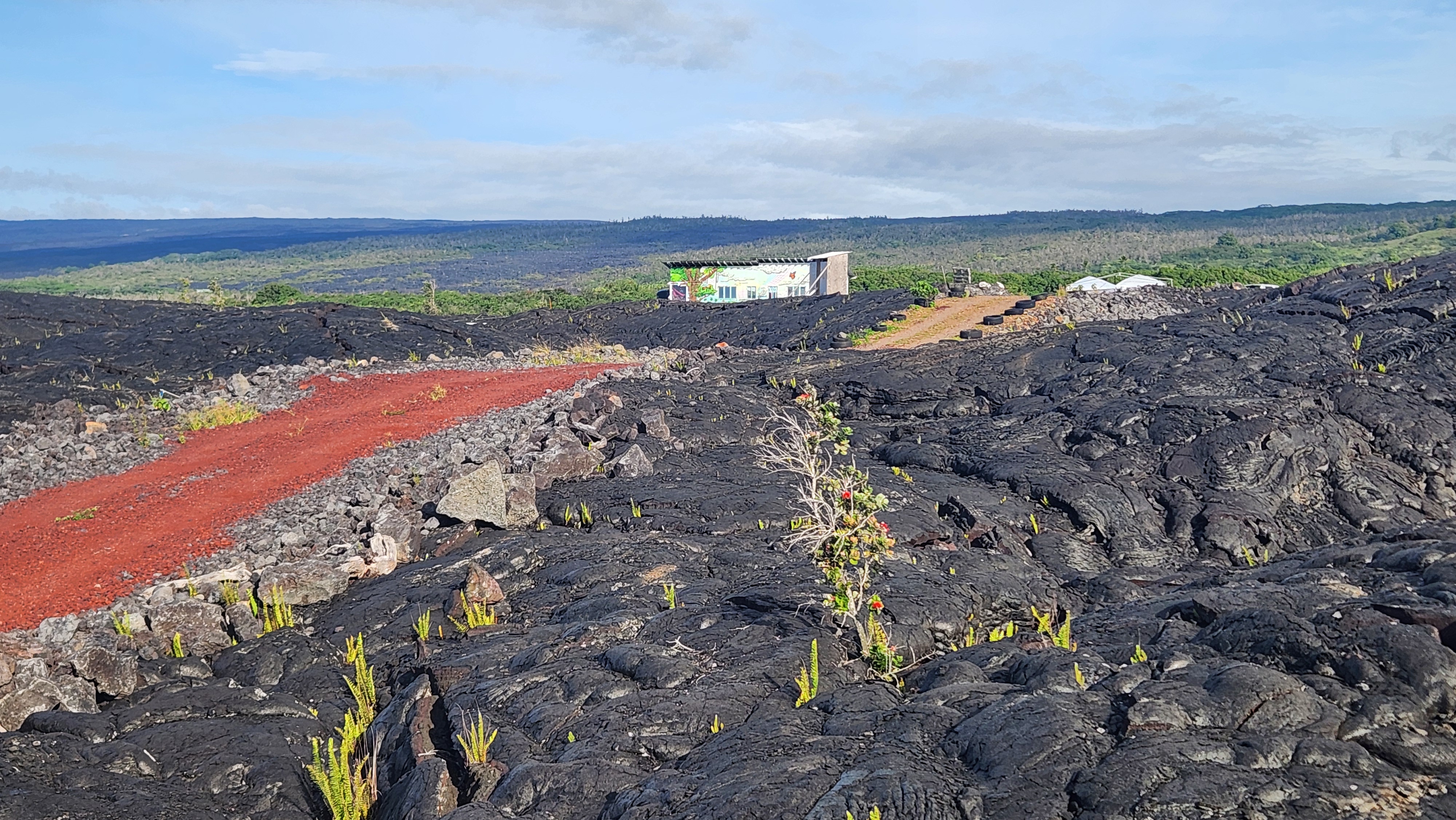 12-4901 Kaimu-Chain Of Craters Road Pahoa, HI 96778 - Photo 13 of 15
