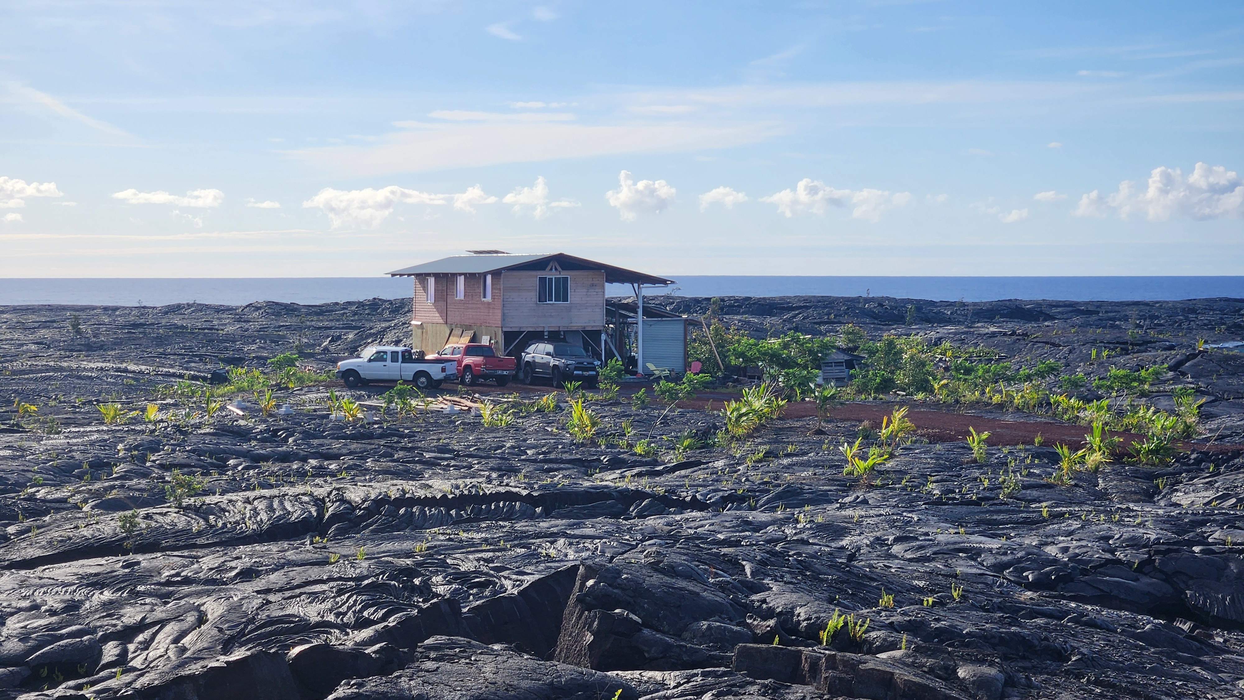 12-4901 Kaimu-Chain Of Craters Road Pahoa, HI 96778 - Photo 14 of 15 a view of a big yard with large trees