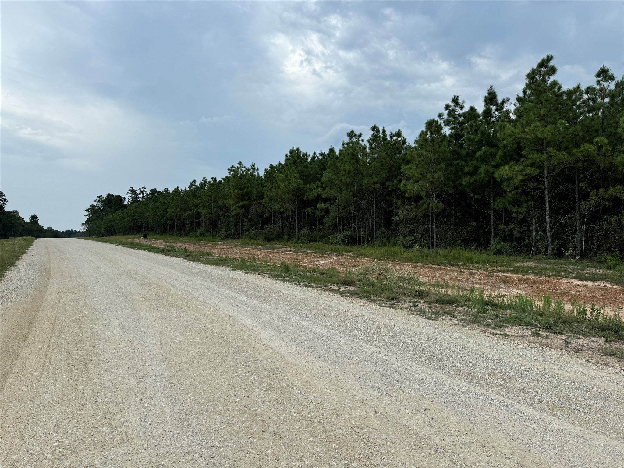 16246 Ridge Oak Road Willis, TX 77378 - Photo 10 of 19 a view of a terrace