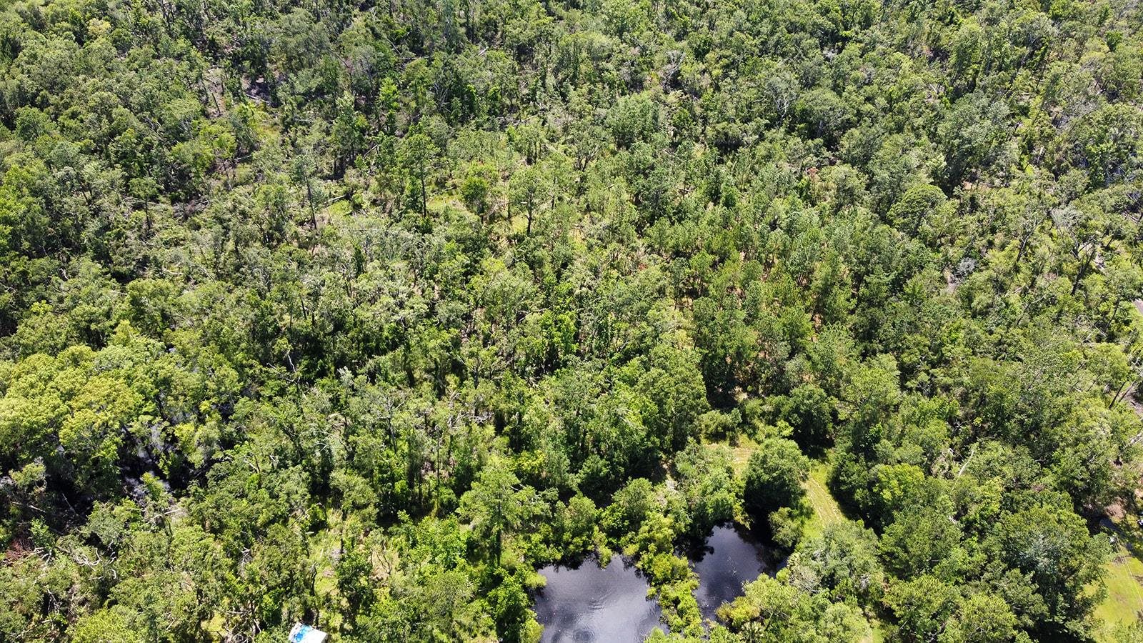 749 O'Steen Road Perry, FL 32347 - Photo 3 of 11