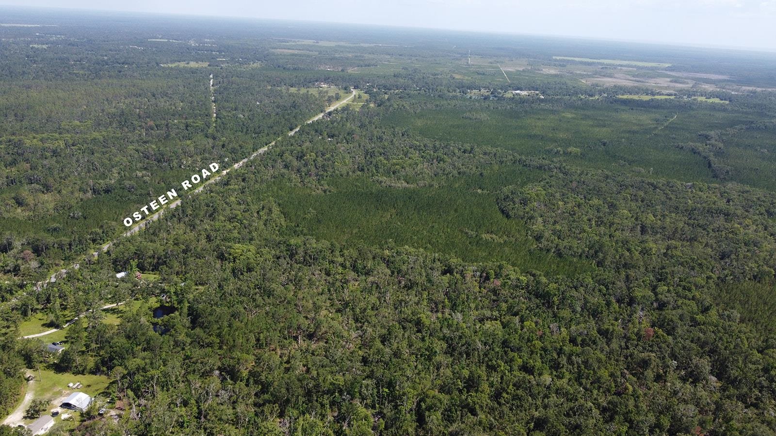 749 O'Steen Road Perry, FL 32347 - Photo 8 of 11