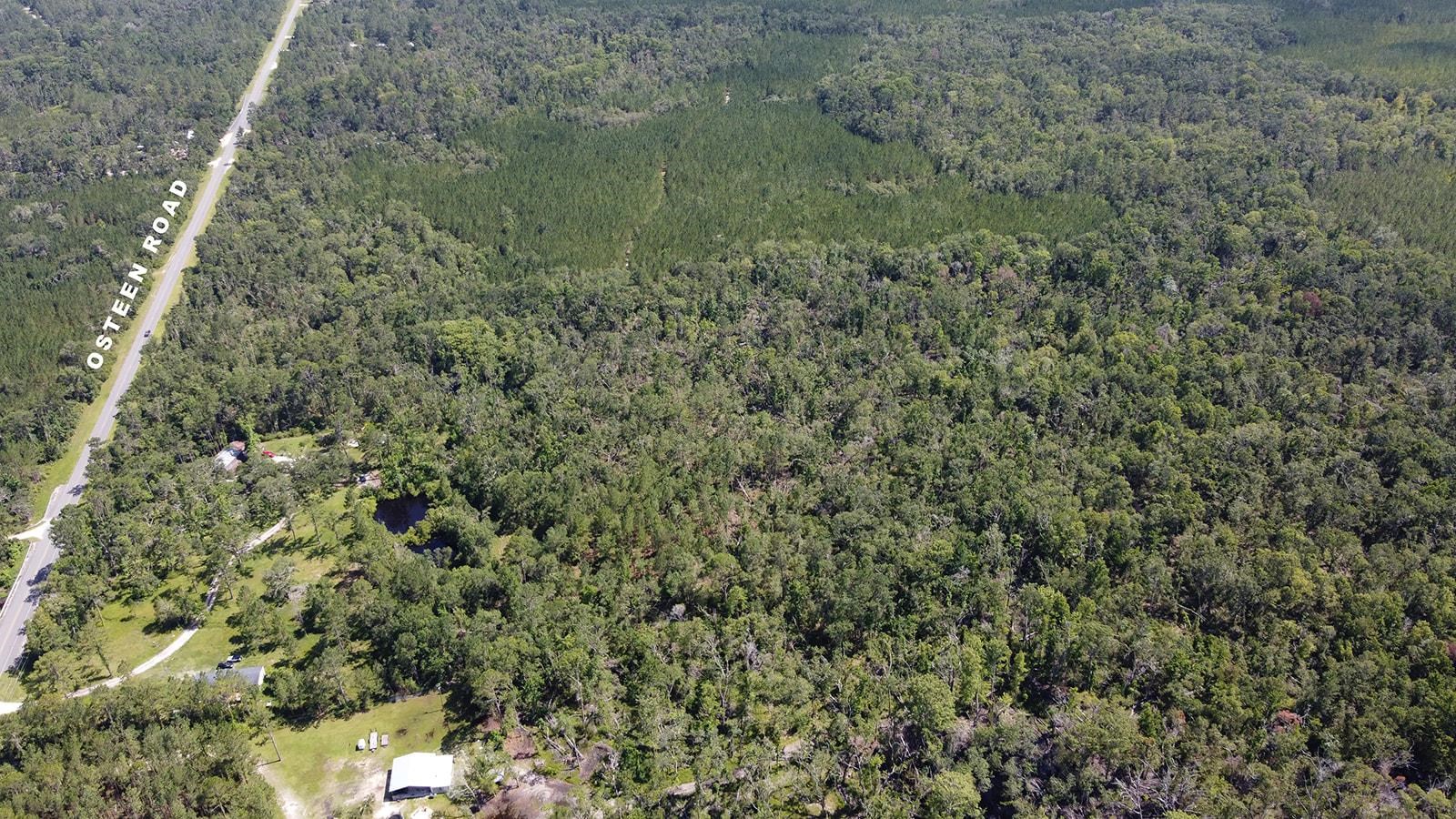 749 O'Steen Road Perry, FL 32347 - Photo 9 of 11