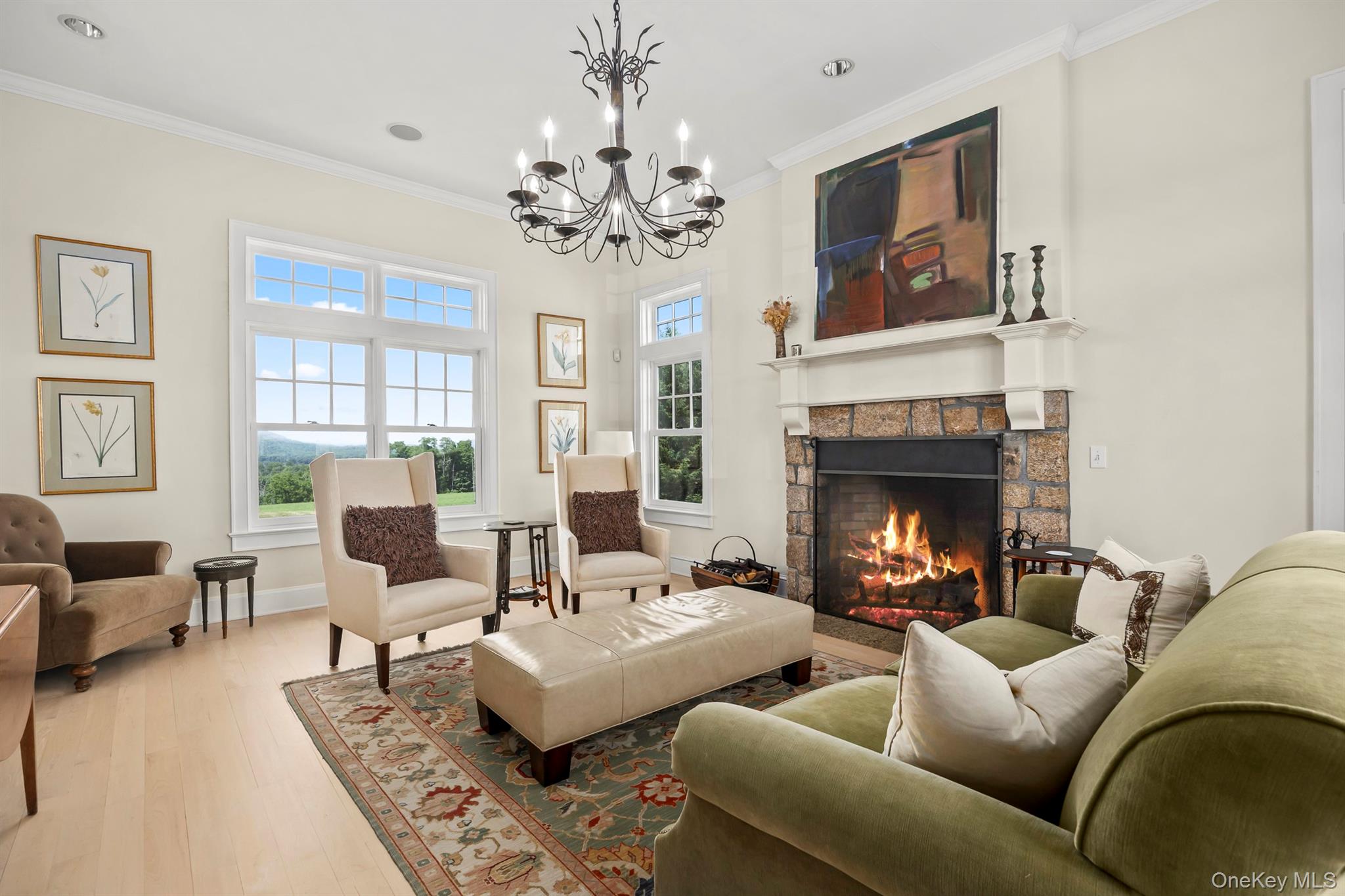 162 Amenia Union Road Amenia, NY 12501 - Photo 13 of 21 A Charming Den with Fireplace and Stunning Views