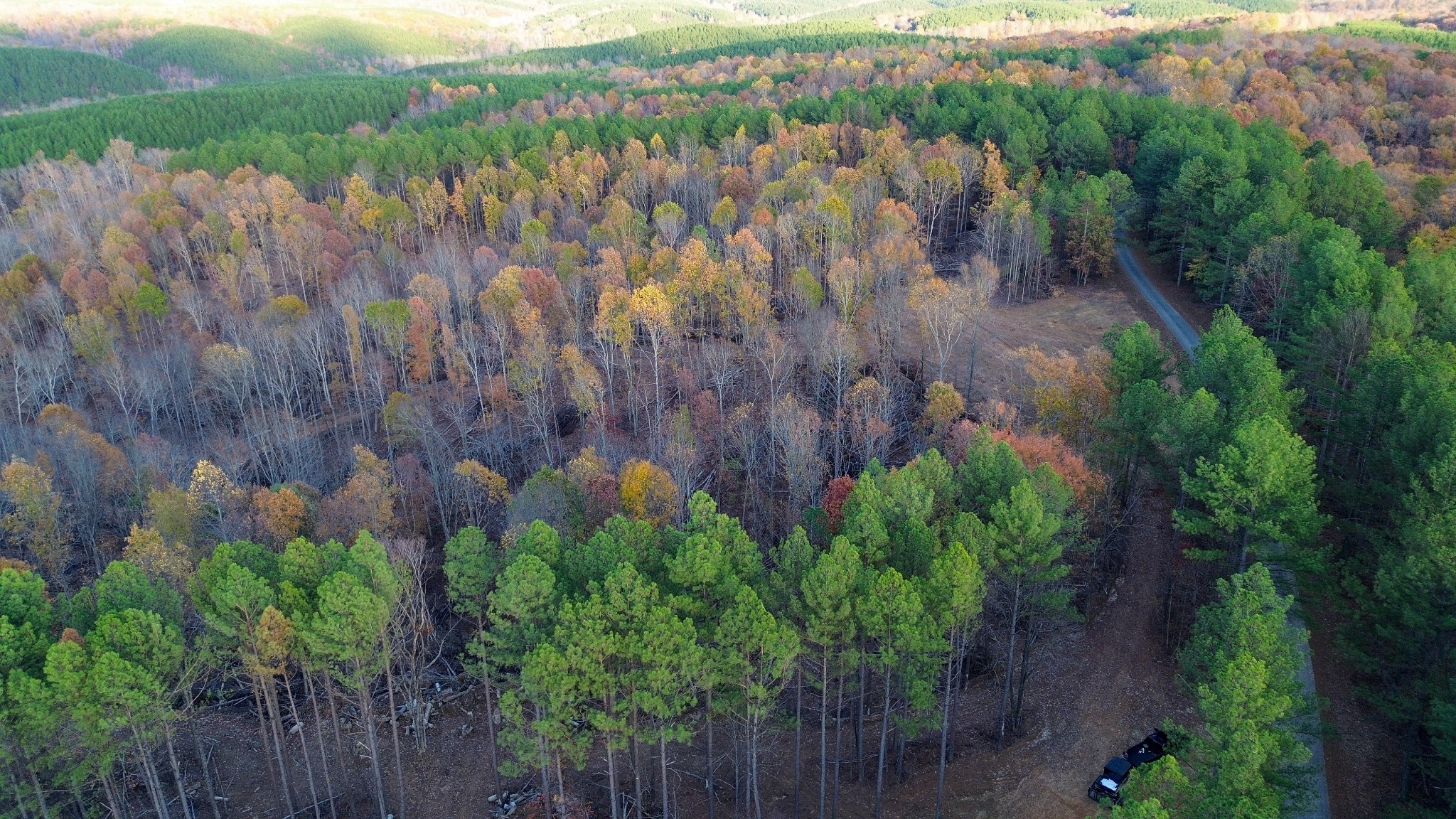 0 Sassafras Stand Ridge Road Linden, TN 37096 - Photo 5 of 5 a view of a lush green forest with lots of trees