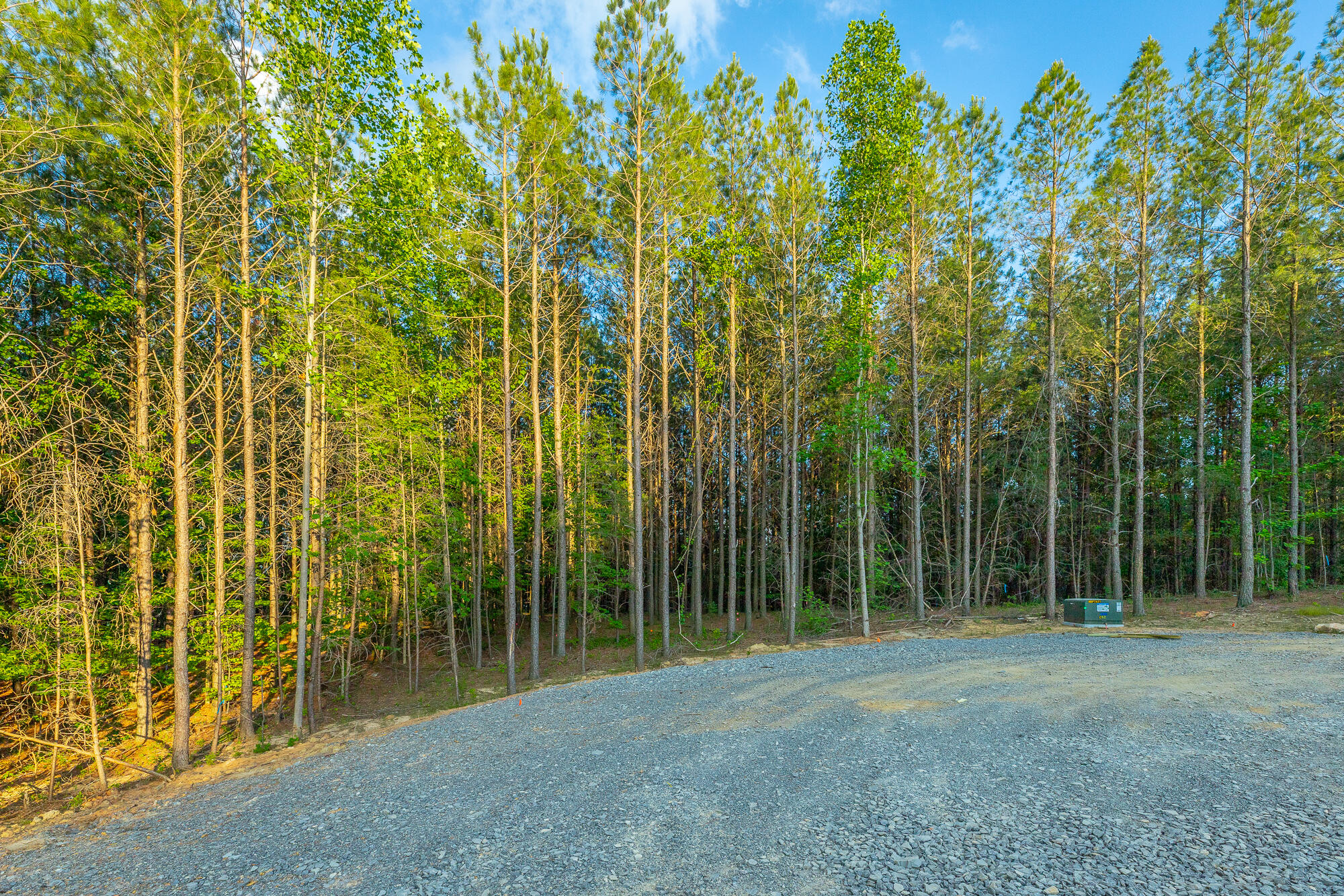 0 Back Basin Trail, Unit LOT 1244 Chattanooga, TN 37419 - Photo 47 of 119 0 Back Basin Trail - Lot 1244 HD-49