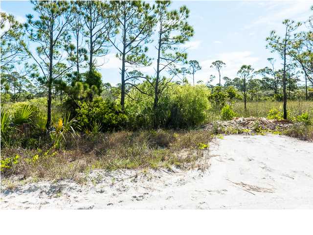 197 Bent Tree Road, Unit LOT 5 Port St. Joe, FL 32456 - Photo 2 of 9