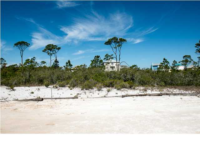 197 Bent Tree Road, Unit LOT 5 Port St. Joe, FL 32456 - Photo 3 of 9