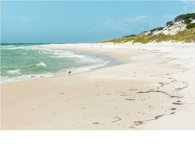 197 Bent Tree Road, Unit LOT 5 Port St. Joe, FL 32456 - Photo 4 of 9