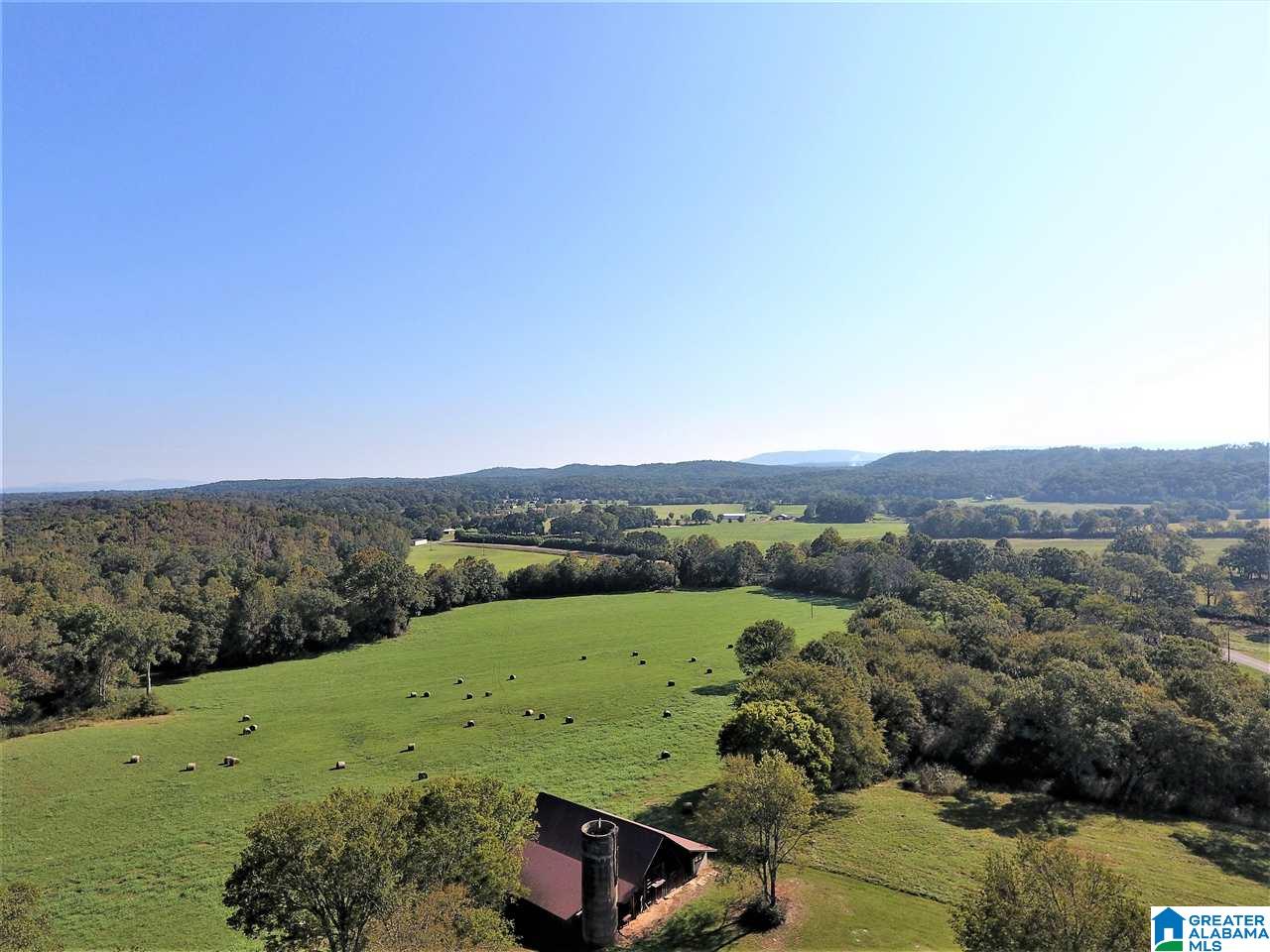 3086 McElderry Road North Munford, AL 36268 - Photo 41 of 44