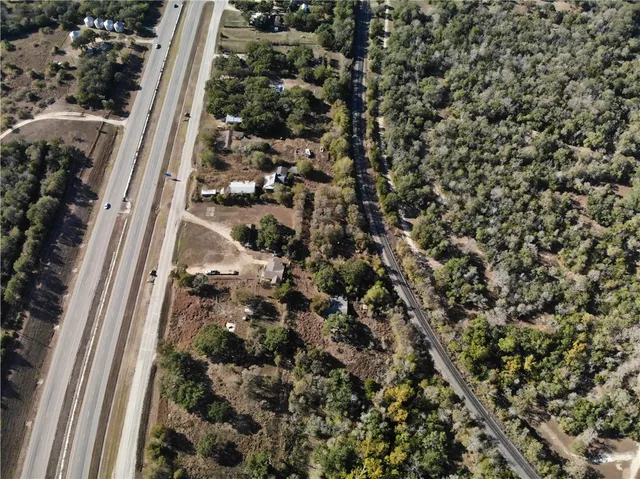 a view of a forest with a tree