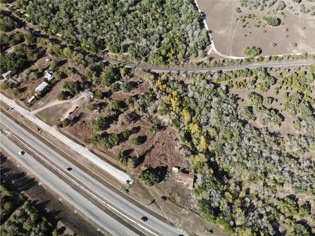 a view of a forest from a window
