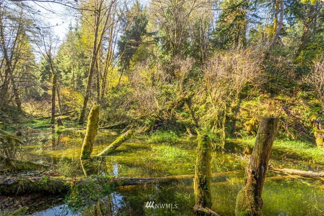 654 Mill Creek Road Raymond, WA 98577 - Photo 25 of 25 Gallery Image 25
