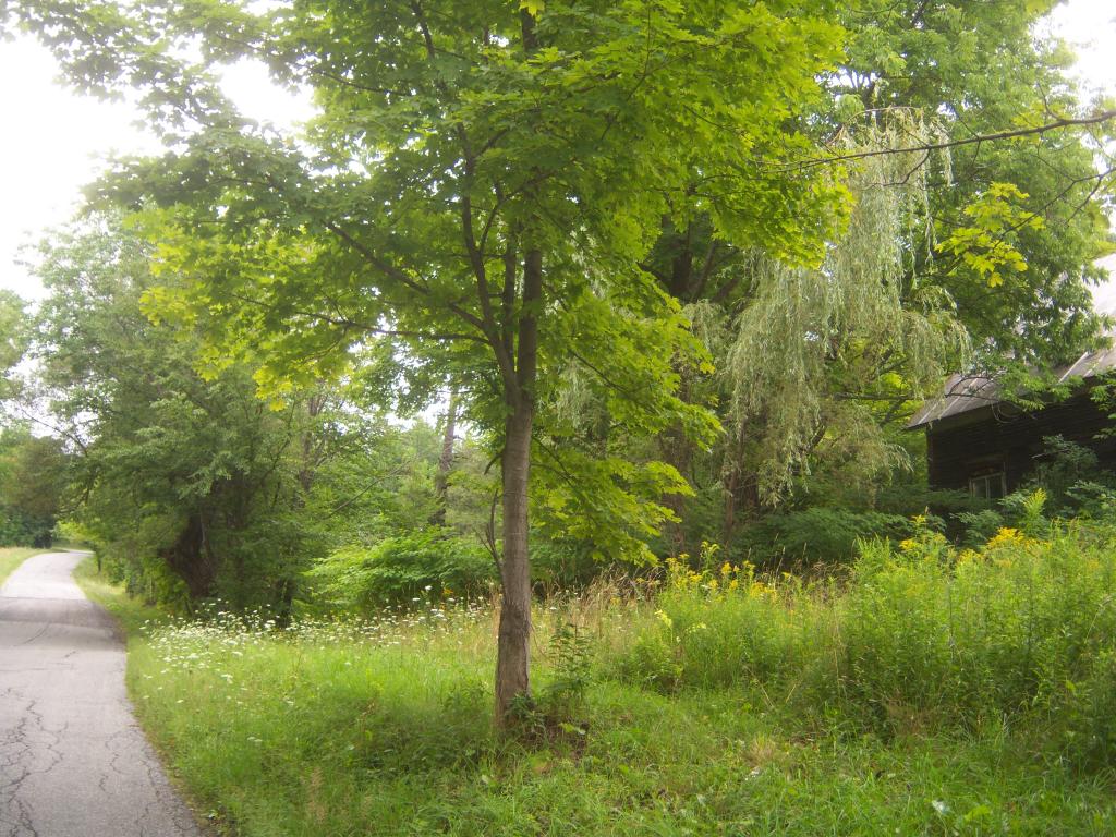 2821 Vershire Center Road Vershire, VT 05079 - Photo 4 of 11 Gallery Image 4