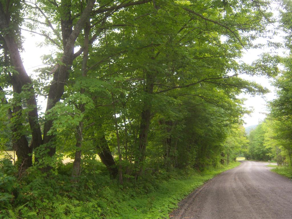 2821 Vershire Center Road Vershire, VT 05079 - Photo 7 of 11 Gallery Image 7