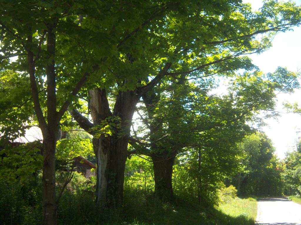 2821 Vershire Center Road Vershire, VT 05079 - Photo 10 of 11 Gallery Image 10