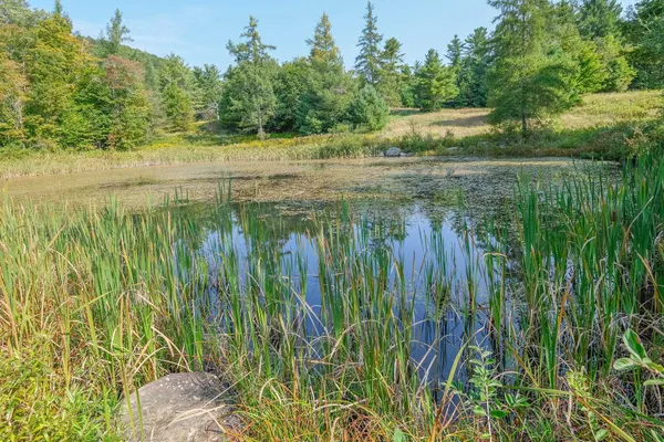 $1,750,000 | 310 Hateful Hill Road, Wallingford, VT 05742