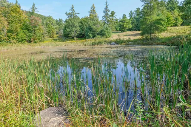 $1,950,000 | 310 Hateful Hill Road, Wallingford, VT 05742