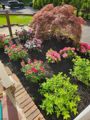 a view of a flower arrangement in backyard