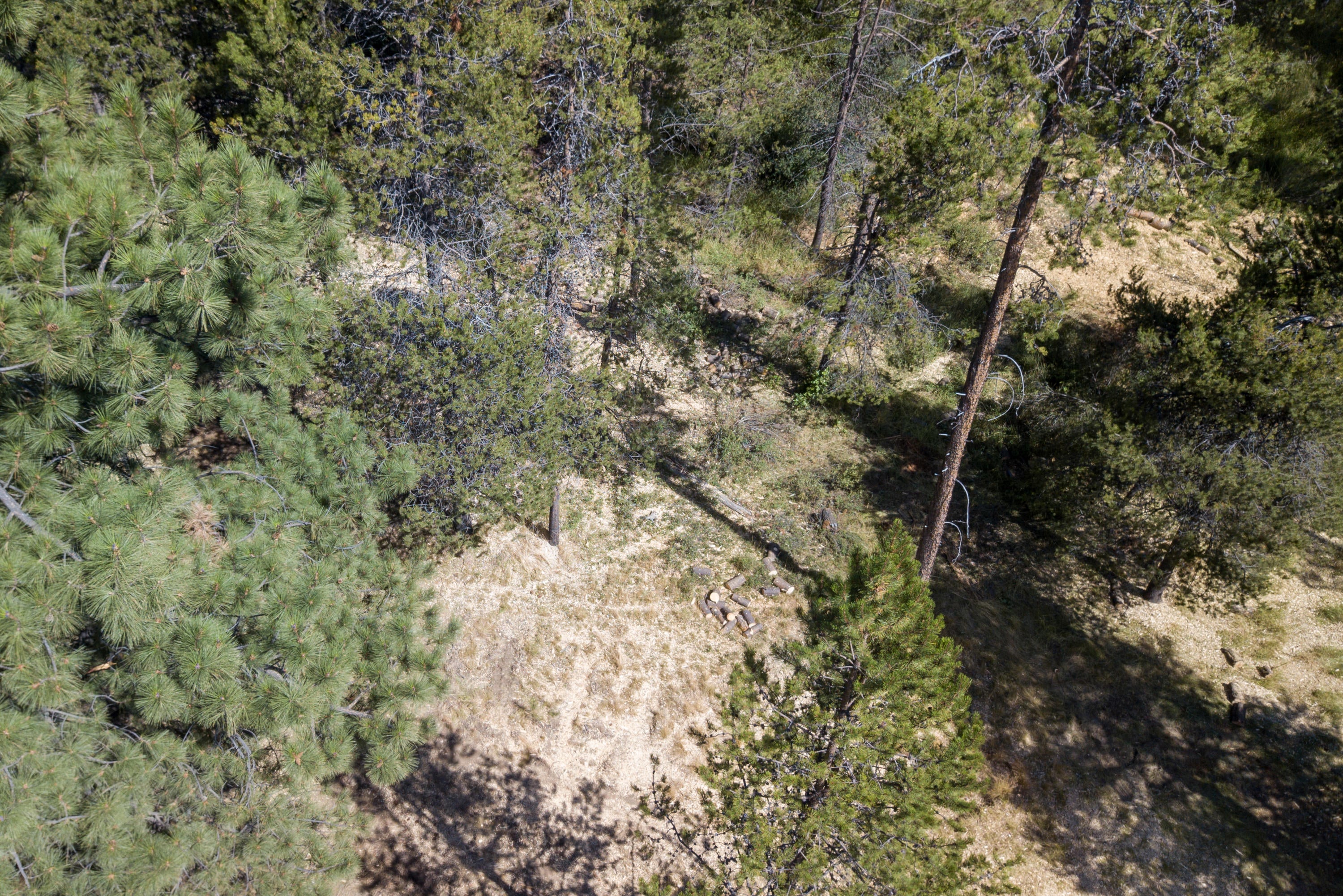 17291 Indio Road Bend, OR 97707 - Photo 3 of 7 080620_0177 copy