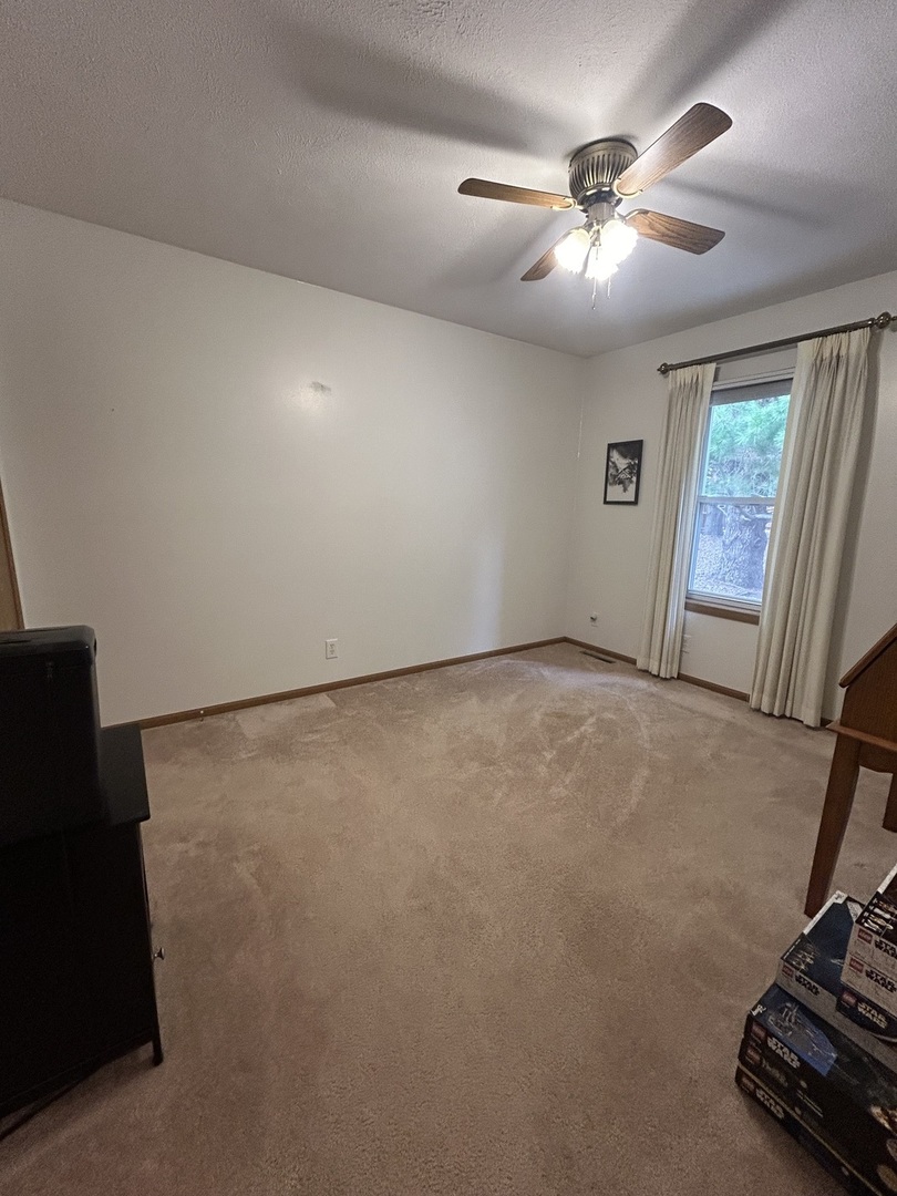 427 South Taylor Street Spring Valley, IL 61362 - Photo 17 of 25