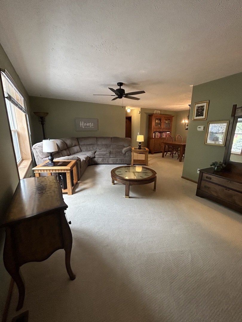 427 South Taylor Street Spring Valley, IL 61362 - Photo 5 of 25