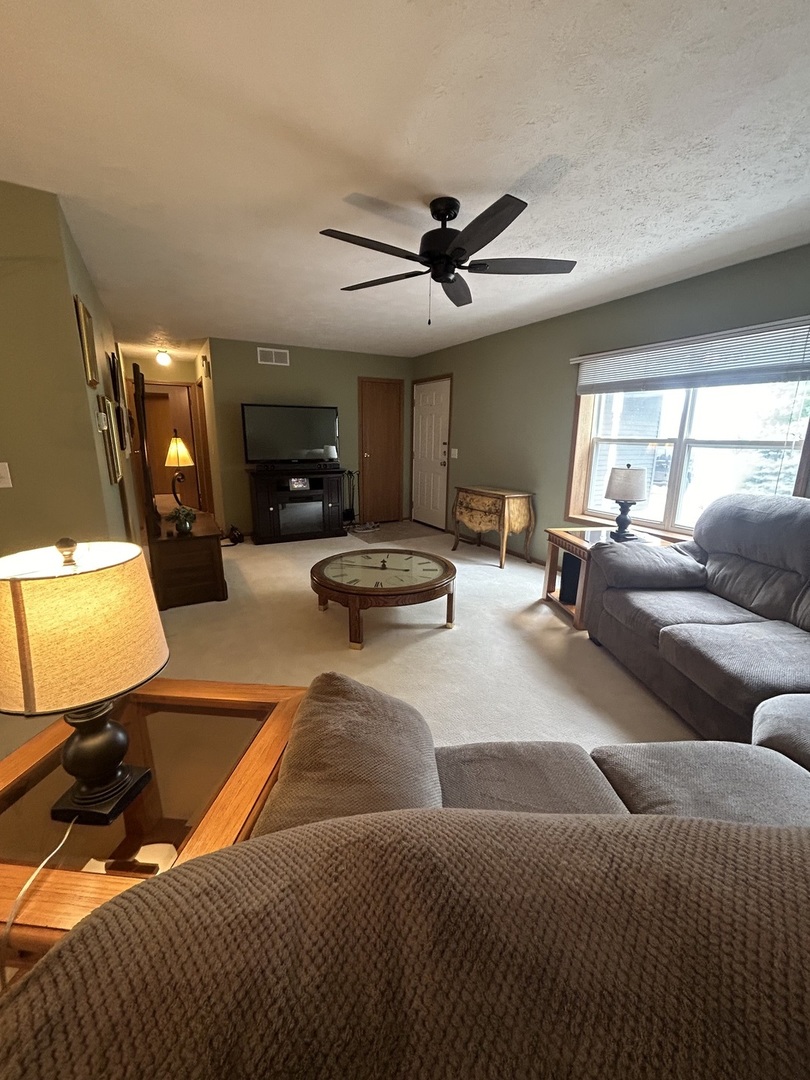 427 South Taylor Street Spring Valley, IL 61362 - Photo 6 of 25