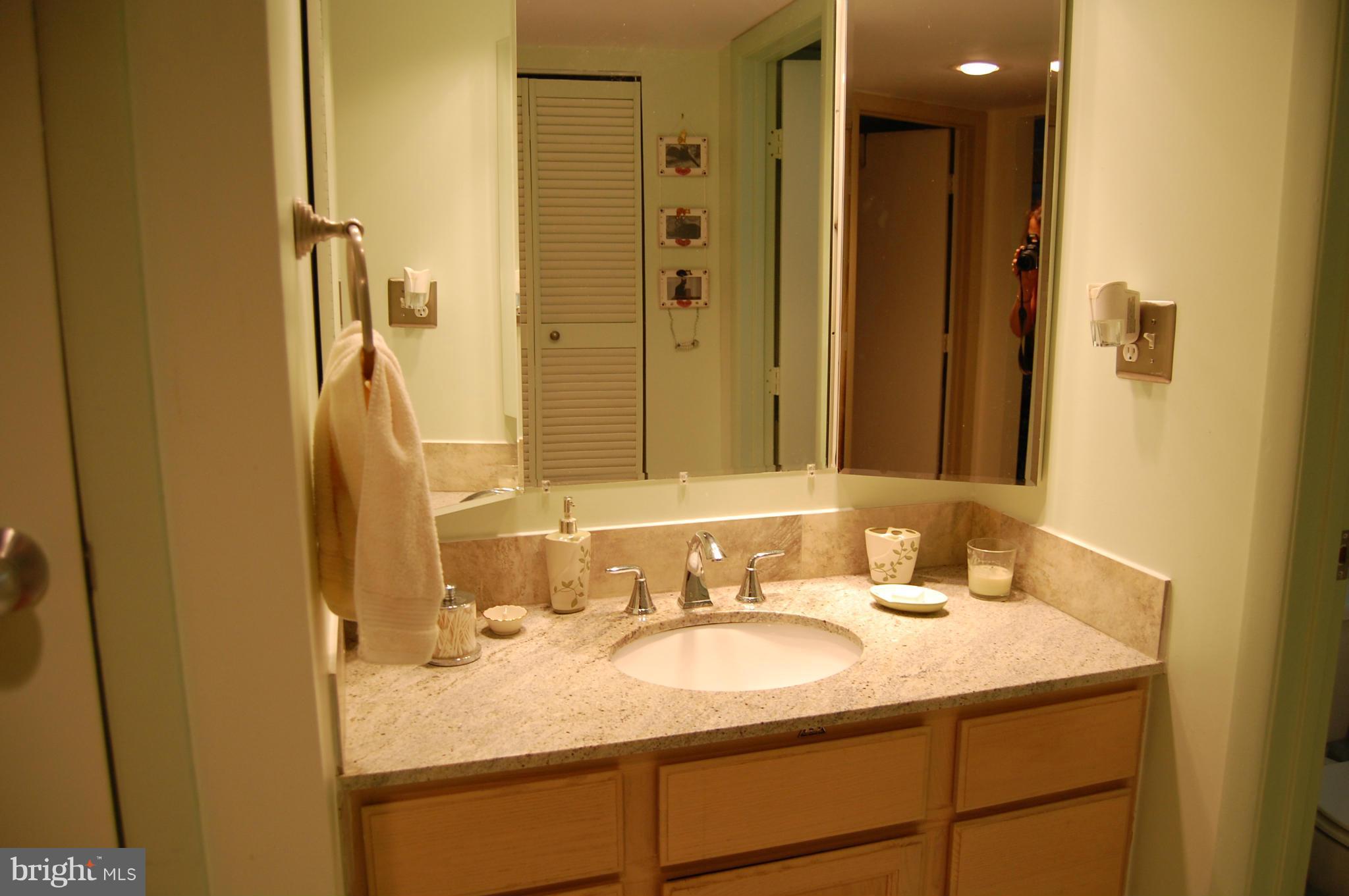 5802 Royal Ridge Drive, Unit N Springfield, VA 22152 - Photo 13 of 26 Bath